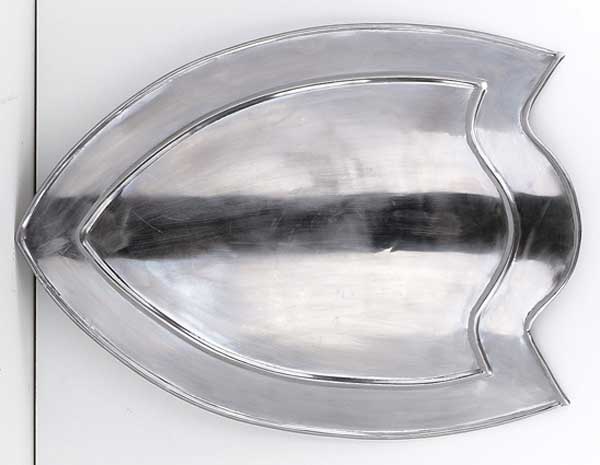 foto V�prodej! Fighting Shield